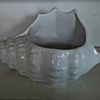 Vaso conchiglia in ceramica