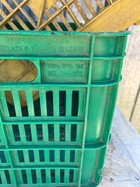 Cassette da uva, olive
