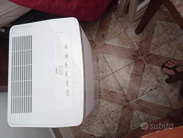 deumidificatore 