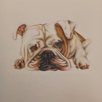 Quadro disegno di cane