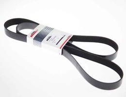 Cinghia motore CNH 87309962 per TM150