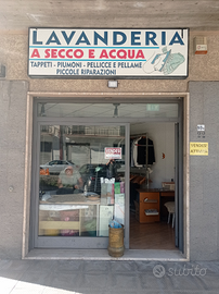 Lavanderia a secco e acqua