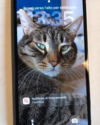 Iphone 13 pro 256 gb- 2 anni di vita