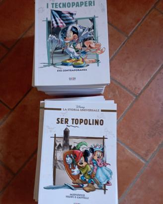 collezione 