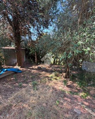 TER. AGRICOLO A CASCIANA TERME LARI