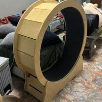 tapis roulant per gatti