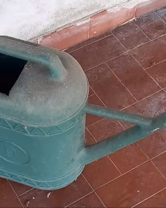 ANNAFFIATOIO-VERSATORE A CIPOLLA GIARDINAGGIO 9LT
