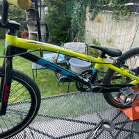 Bmx GT export xl