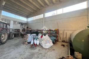 CAPANNONE A CORNALE E BASTIDA