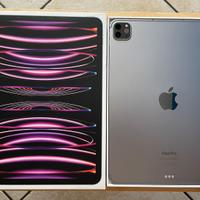 Apple iPad 11"
