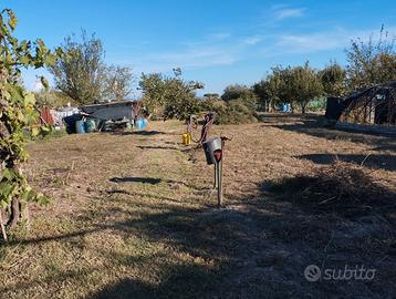 Terreno Agricolo Uso Seminativo a Campi Bisenzio