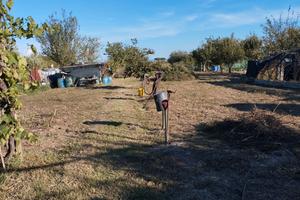 Terreno Agricolo Uso Seminativo a Campi Bisenzio