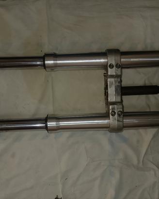 Forcelle e disco per Aprilia RS 50/Derbi Gpr 50