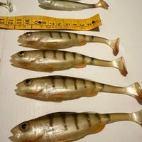 Gomme Tommys Bait pesca spinning