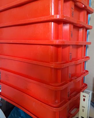 contenitori plastica per uva o frutta