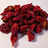 Peperoncini Trinidad Scorpion essiccati/tritati