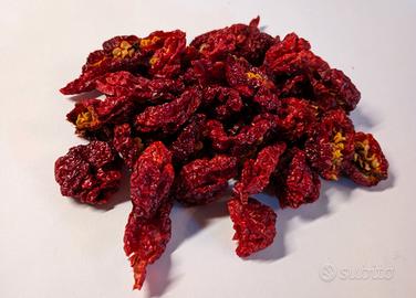 Peperoncini Trinidad Scorpion essiccati/tritati