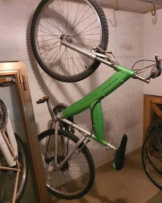 bicicletta