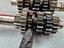 Immagine 6