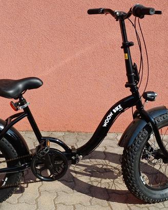 Bici E-Bike Wood
