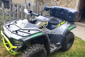 Quad Bashan pari al nuovo 