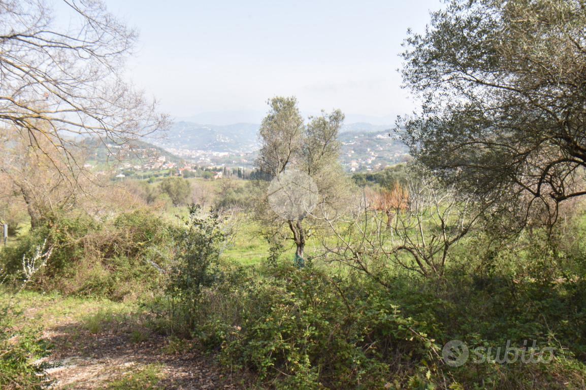 TER. AGRICOLO A AGROPOLI - Vista 5