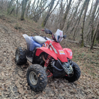 Polaris scrambler 500 anno 2008 2x4