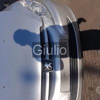 Peugeot 307 hdi ricambi