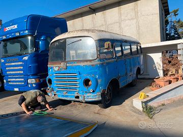 Corriera Om Leoncino carrozzeria Cansa autobus
