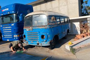 Corriera Om Leoncino carrozzeria Cansa autobus