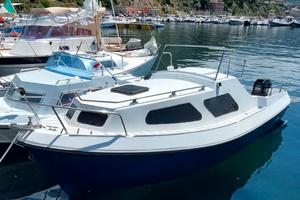 Barca pilotina cabinata 6m