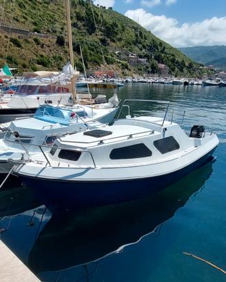 Barca pilotina cabinata 6m