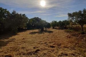 Terreno di 1600mq a 2 km dal paese