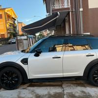 Countryman Cooper D