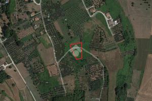 TER. AGRICOLO A LARIANO