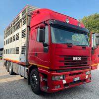 Iveco cursor trasporto bestiame animali vivi