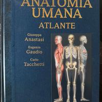 Atlante Anatomia Umana Anastasi - edi ermes