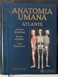 Atlante Anatomia Umana Anastasi - edi ermes