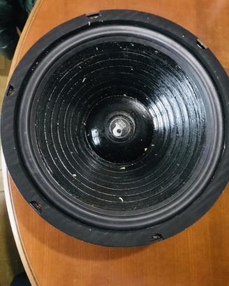 ESB  Fostex woofer