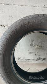 Pneumatici auto Goodyear Efficient Grip Performanc