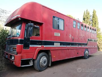 Camion trasporto 5 cavalli + living