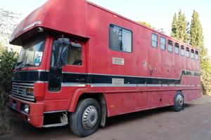 Camion trasporto 5 cavalli + living