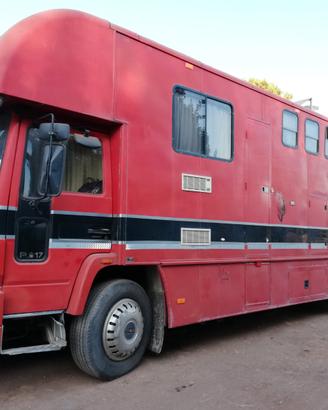 Camion trasporto 5 cavalli + living