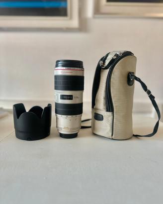 Canon EF 70-200mm f/2.8L IS