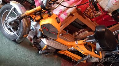 motorino 50cc