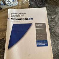 Matematica blu 1