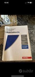 Matematica blu 1