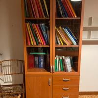 Mobile contenitore in legno con ante in vetro