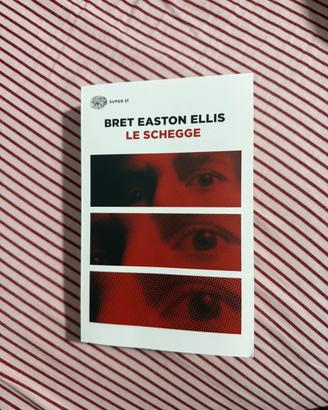 Libro Le schegge