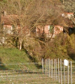 Villetta monofamiliare a Sarzana via groppolo1